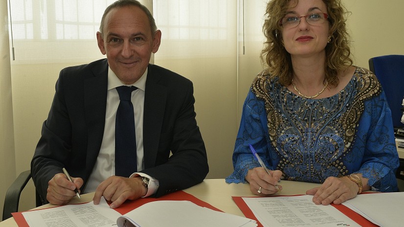 EAJ-PNV y PSE-EE alcanzan un acuerdo programático y de reparto de responsabilidades para gobernar el Territorio Histórico de Álava EAJ-PNV y PSE-EE alcanzan un acuerdo programático y de reparto de responsabilidades para gobernar el Territorio Histórico de Álava